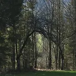 Wengerwirt Zur Laube Komfortzimmer Deluxe Bed and breakfast 3*
