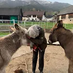 Wengerwirt Zur Laube Komfortzimmer Deluxe Bed and breakfast Weng im Gesause