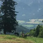 Wengerwirt Zur Laube Komfortzimmer Deluxe 3* Weng im Gesause