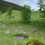 Wengerwirt Zur Laube Komfortzimmer Deluxe Bed and breakfast