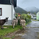 Wengerwirt Zur Laube Komfortzimmer Deluxe Bed and breakfast Weng im Gesause