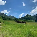 Wengerwirt Zur Laube Komfortzimmer Deluxe Bed and breakfast