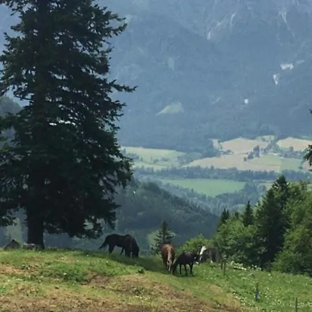 Wengerwirt Zur Laube Komfortzimmer Deluxe 3* Weng im Gesause