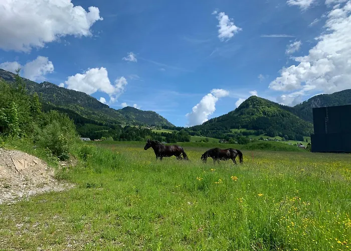 فندق مبيت وإفطار Wengerwirt Zur Laube Komfortzimmer Deluxe