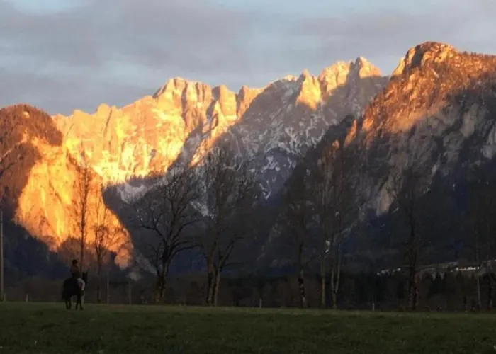 فندق مبيت وإفطار Wengerwirt Zur Laube Komfortzimmer Deluxe