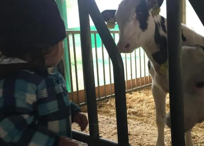 Wengerwirt Zur Laube Komfortzimmer Deluxe فندق مبيت وإفطار