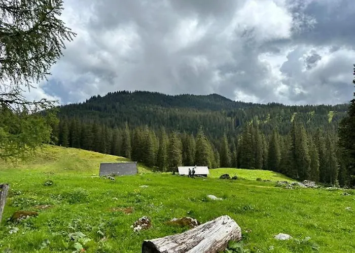 فندق مبيت وإفطار Wengerwirt Zur Laube Komfortzimmer Deluxe 3*