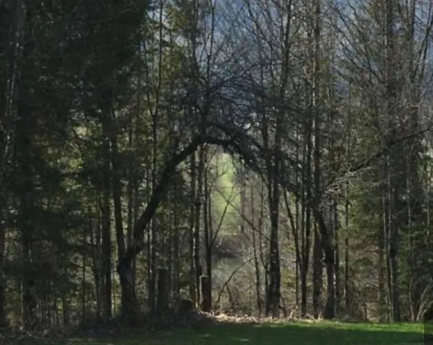 Wengerwirt Zur Laube Komfortzimmer Deluxe فندق مبيت وإفطار 3*