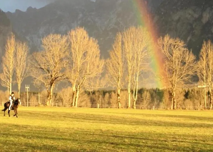 Wengerwirt Zur Laube Komfortzimmer Deluxe فندق مبيت وإفطار