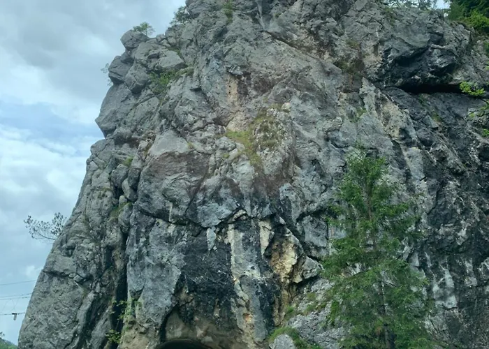 فندق مبيت وإفطار Wengerwirt Zur Laube Komfortzimmer Deluxe 3*