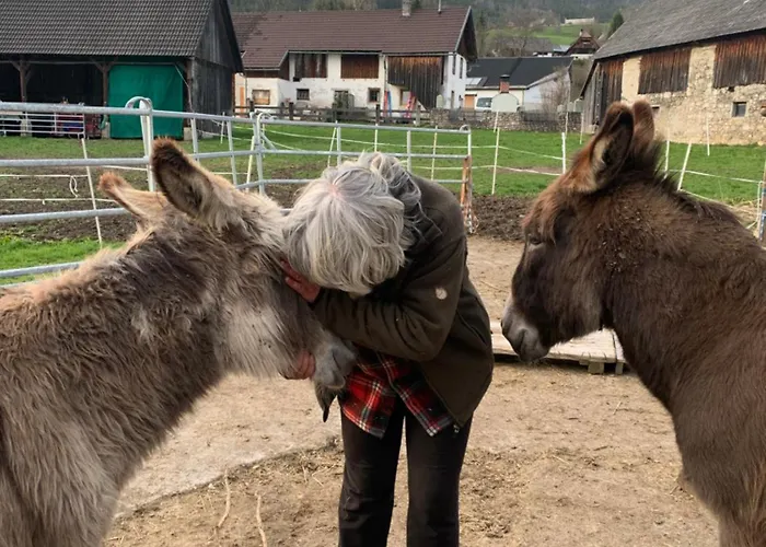 Wengerwirt Zur Laube Komfortzimmer Deluxe فندق مبيت وإفطار Weng im Gesause