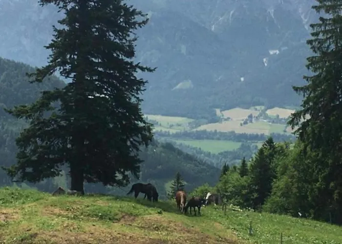Wengerwirt Zur Laube Komfortzimmer Deluxe 3* Weng im Gesause