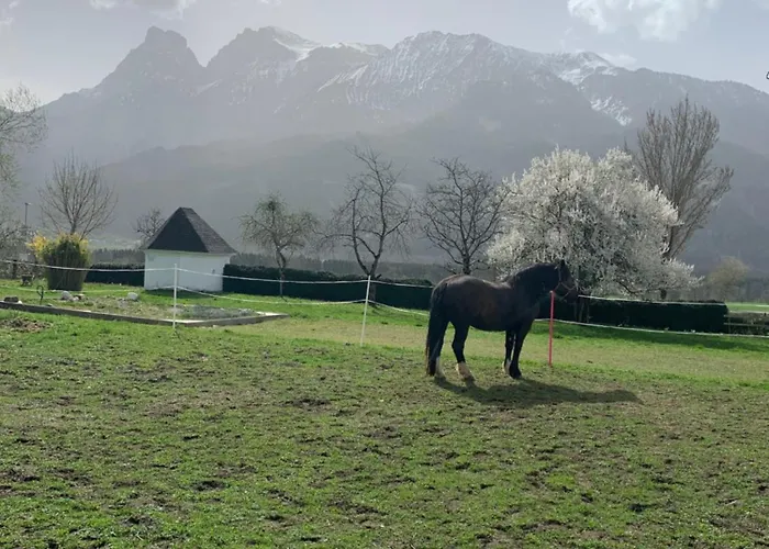 Wengerwirt Zur Laube Komfortzimmer Deluxe فندق مبيت وإفطار Weng im Gesause