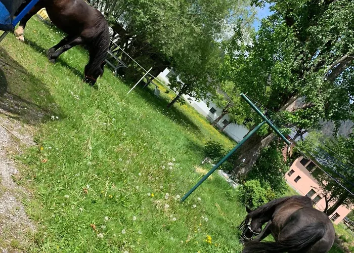 Wengerwirt Zur Laube Komfortzimmer Deluxe فندق مبيت وإفطار