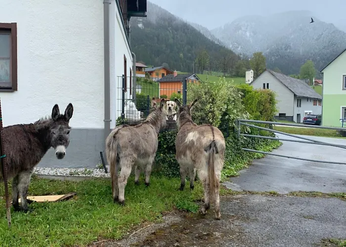 Wengerwirt Zur Laube Komfortzimmer Deluxe فندق مبيت وإفطار Weng im Gesause