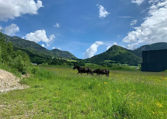 Wengerwirt Zur Laube Komfortzimmer Deluxe فندق مبيت وإفطار